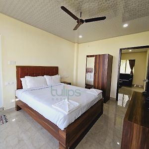 One-Bedroom King Suite